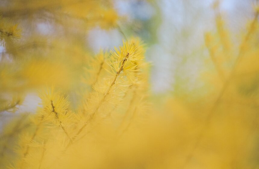 "Пожилое" бабье лето пришло в столицу 15 фото