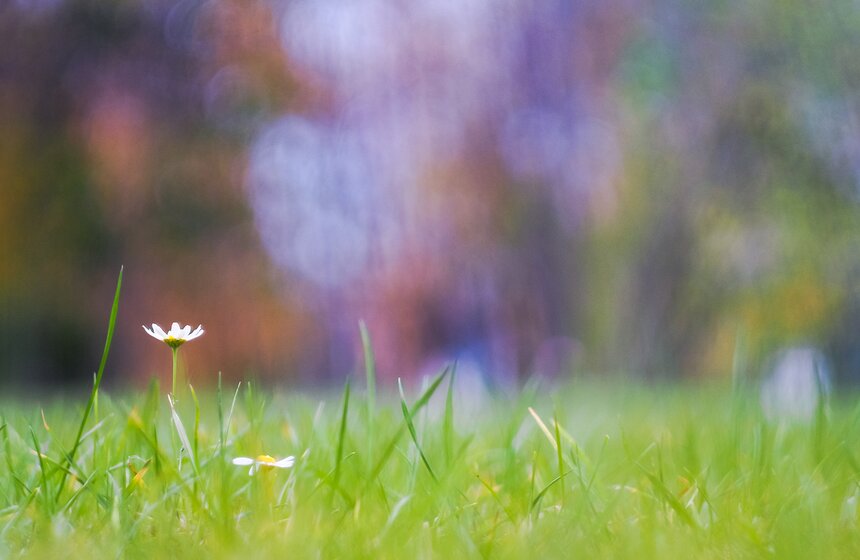 "Пожилое" бабье лето пришло в столицу 14 фото