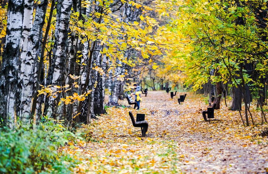 "Пожилое" бабье лето пришло в столицу 21 фото
