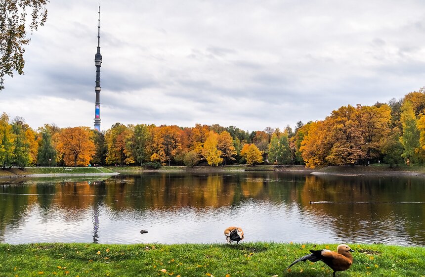 "Пожилое" бабье лето пришло в столицу 27 фото