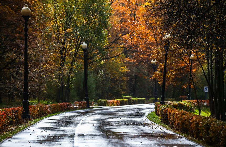 "Пожилое" бабье лето пришло в столицу 24 фото