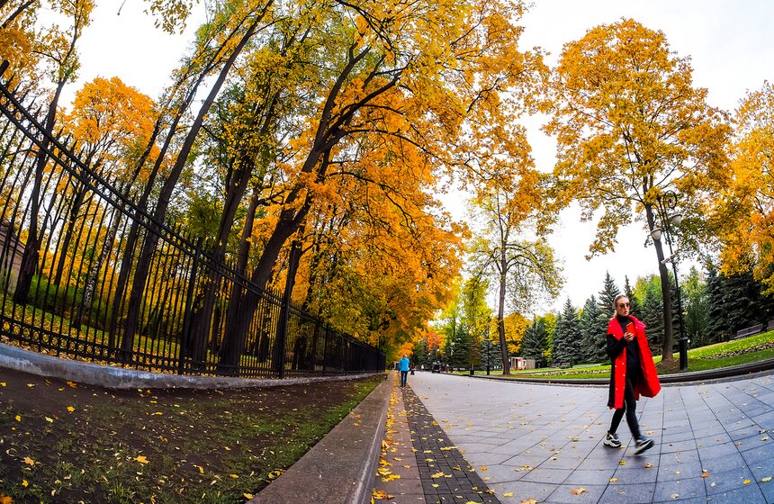 "Пожилое" бабье лето пришло в столицу 6 фото