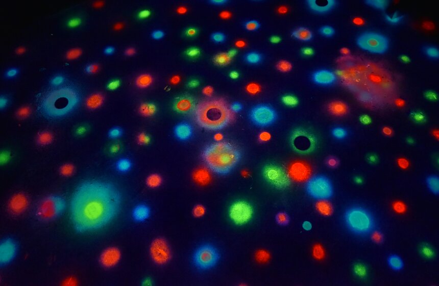 От ненависти до любви один шаг: в Москве открылся "Музей Эмоций" 24 фото