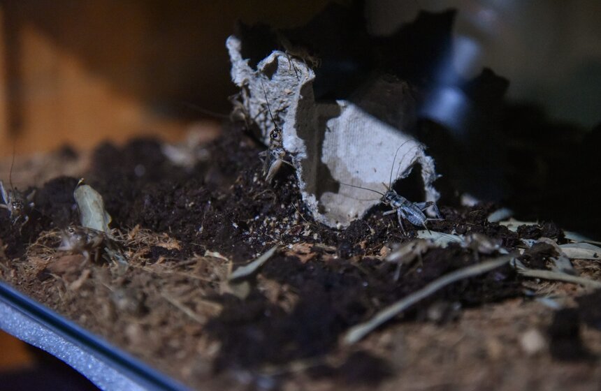 От ненависти до любви один шаг: в Москве открылся "Музей Эмоций" 9 фото