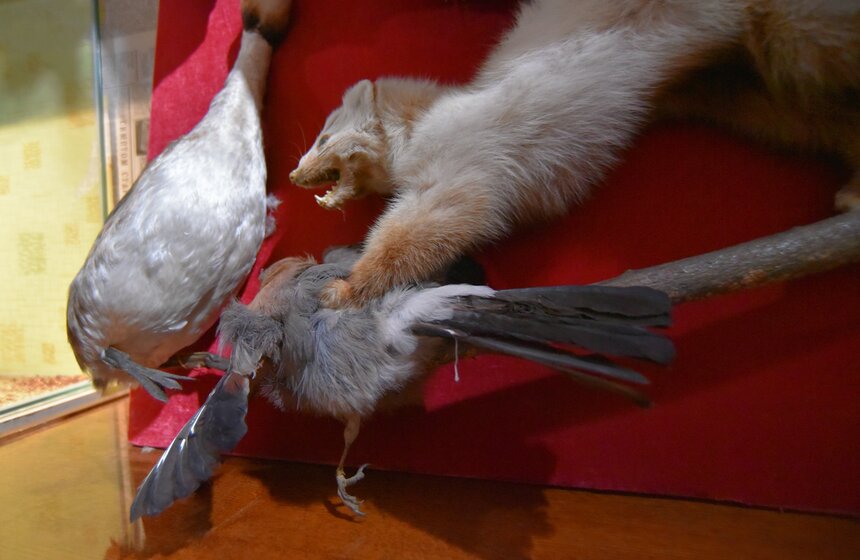 От ненависти до любви один шаг: в Москве открылся "Музей Эмоций" 18 фото