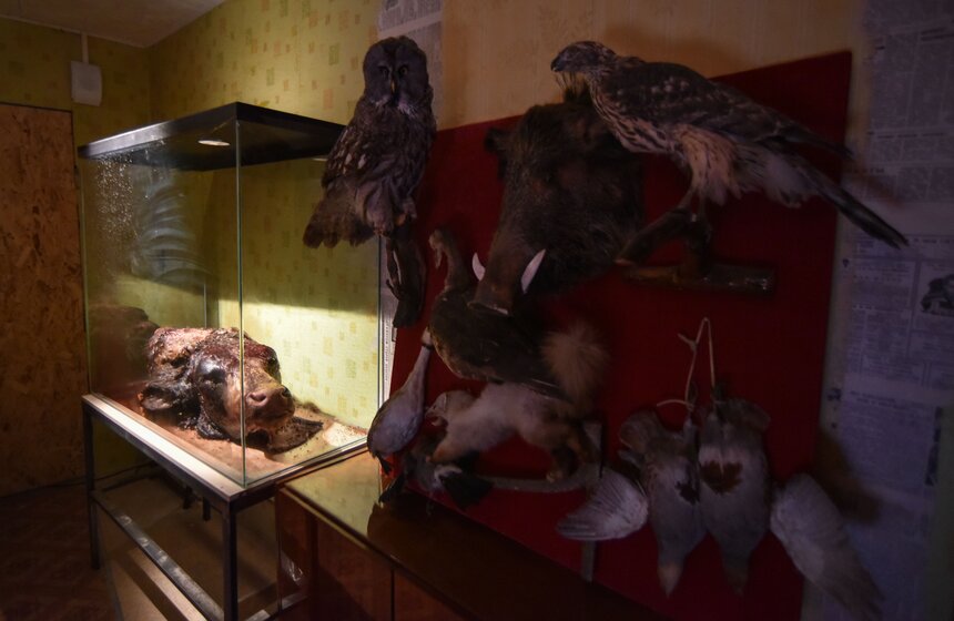 От ненависти до любви один шаг: в Москве открылся "Музей Эмоций" 10 фото