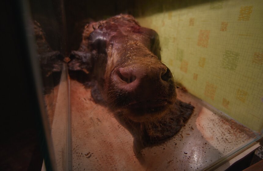 От ненависти до любви один шаг: в Москве открылся "Музей Эмоций" 11 фото