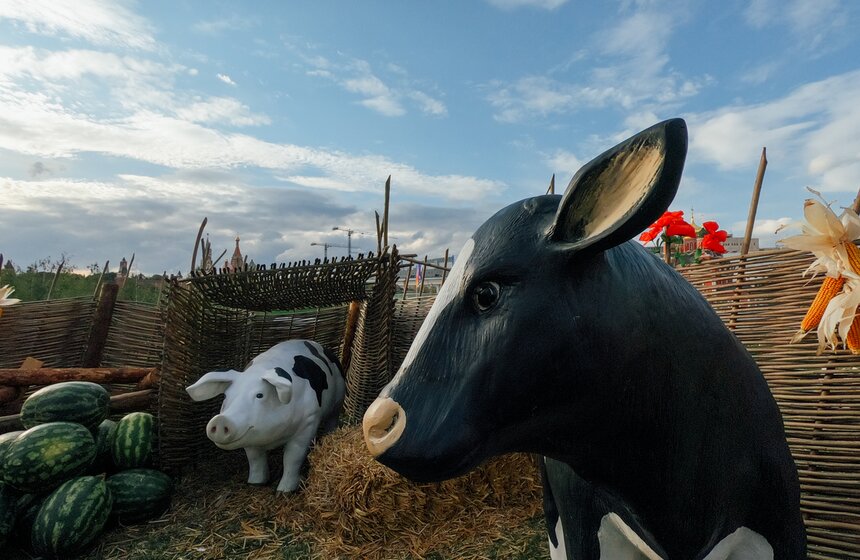 В "Зарядье" проходит фестиваль Русского географического общества 25 фото