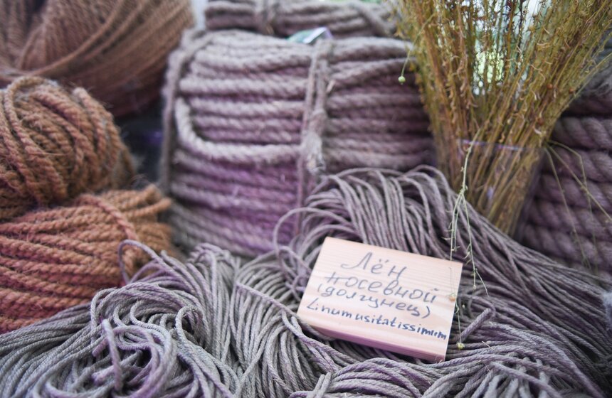 В Ботаническом саду МГУ работает выставка конопли 14 фото