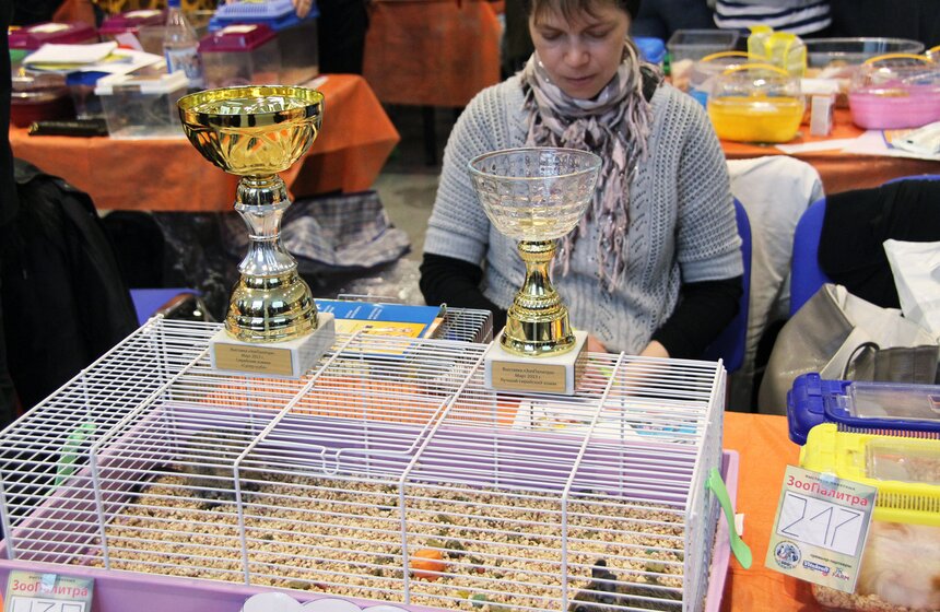 В Москве прошла выставка "Зоопалитра" 16 фото