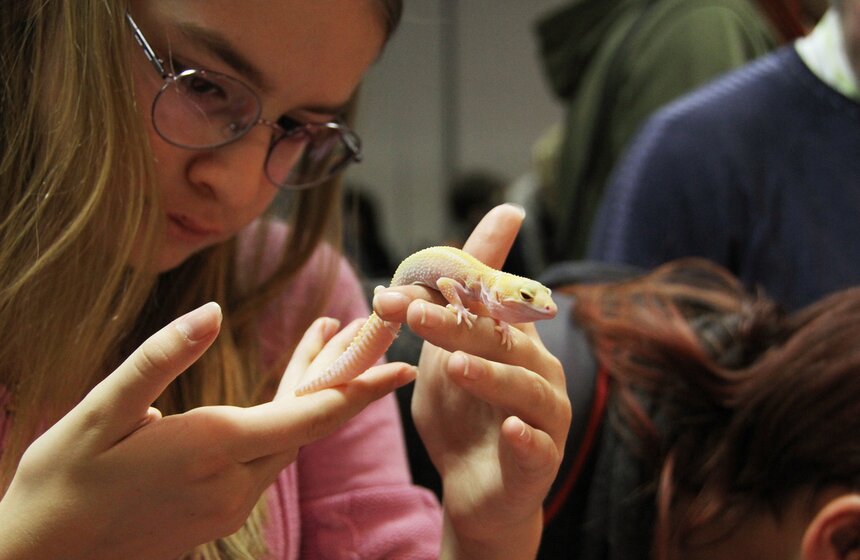 В Москве прошла выставка "Зоопалитра" 12 фото