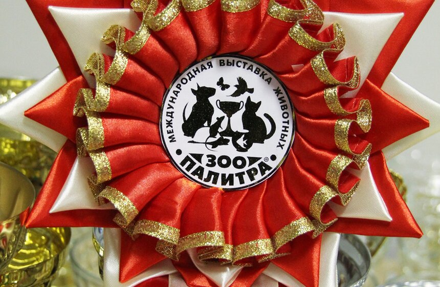 В Москве прошла выставка "Зоопалитра" 6 фото
