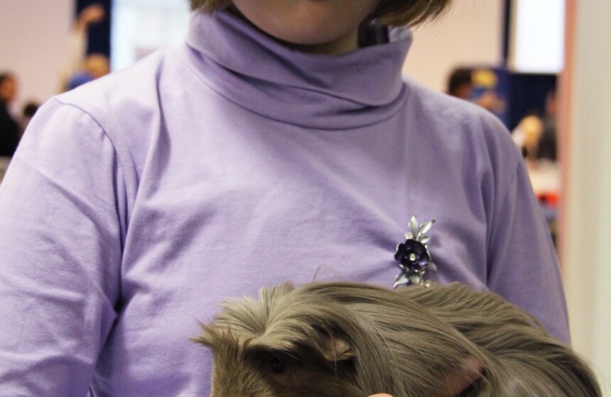 В Москве прошла выставка "Зоопалитра" 5 фото