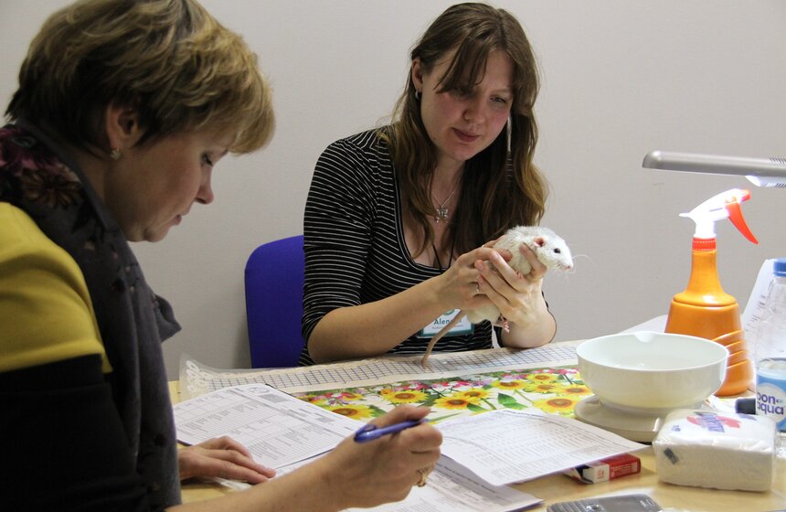 В Москве прошла выставка "Зоопалитра" 2 фото