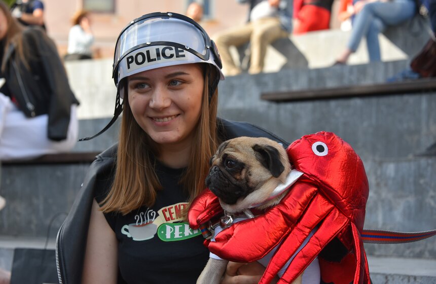 В столице прошла первая костюмированная вечеринка для собак 6 фото