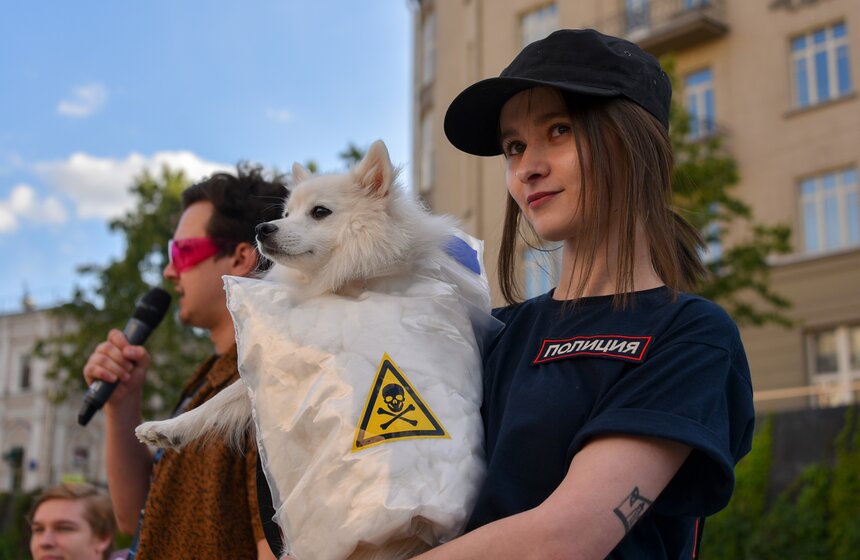 В столице прошла первая костюмированная вечеринка для собак 13 фото