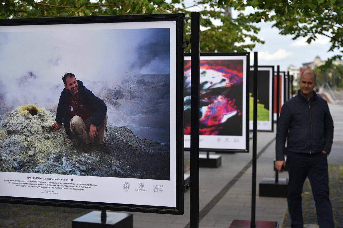 Музеон выставка ледяных скульптур. Фотовыставка в москве 2023. Музеон выставки. Выставка в парке музеон декабрь,январь 2023. Музеон выставки.