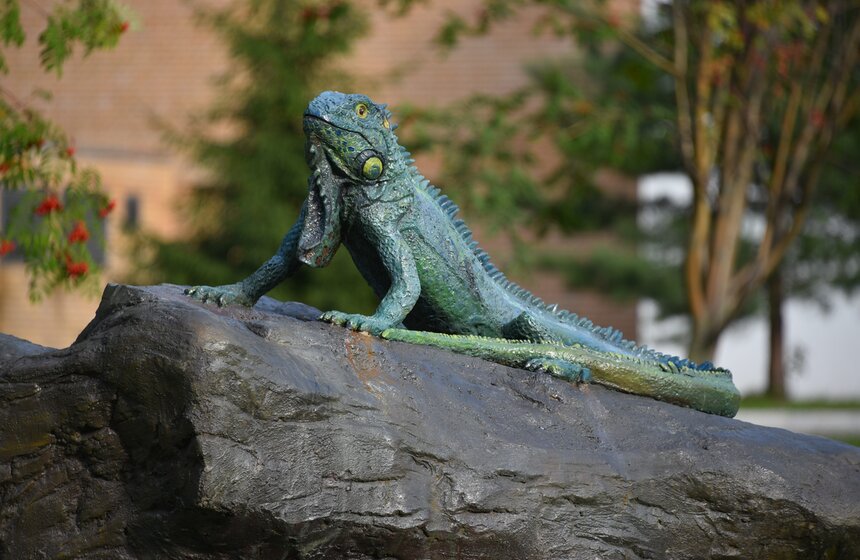 Прогулка по "Мосфильму" в "Ночь кино" 14 фото