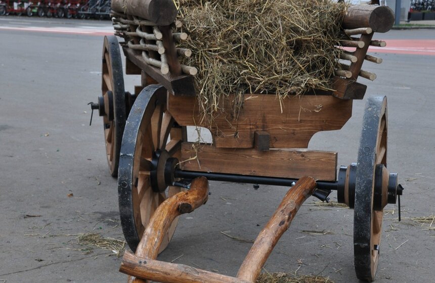 В Сокольниках начался праздник загородной культуры Village Fest 9 фото