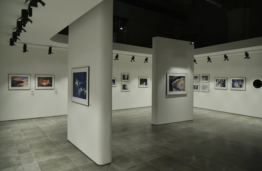 Выставка "Взгляд сверху" открылась на ВДНХ 15 фото