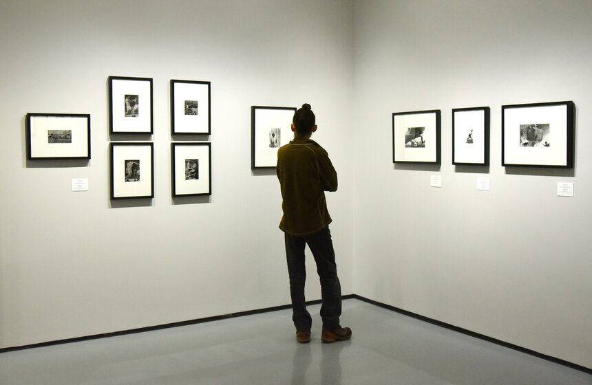 Три фотовыставки открылись в МАММ 7 фото