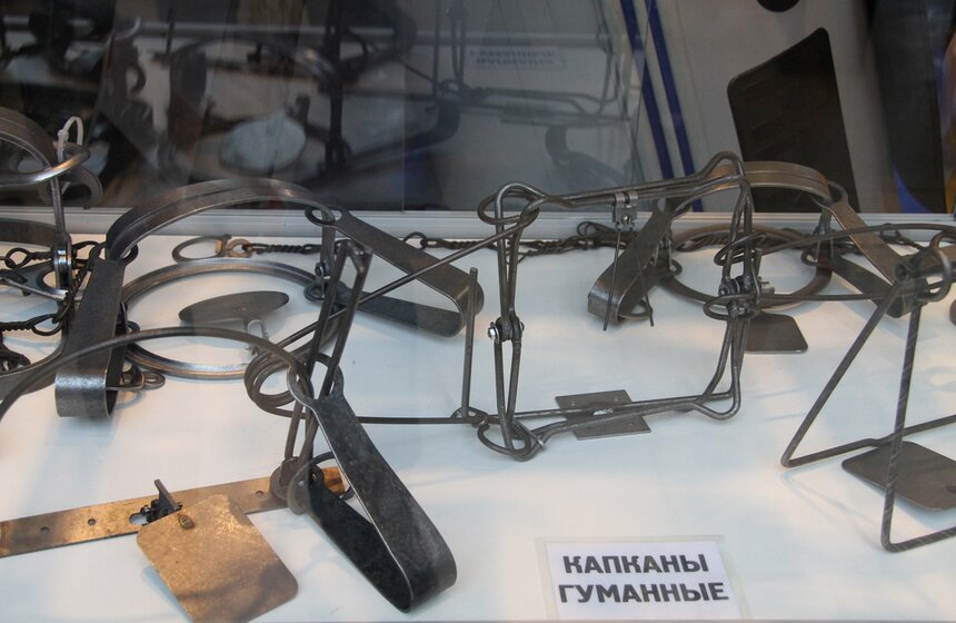 Выставка "Охота и рыболовство на Руси" проходит на ВВЦ 14 фото