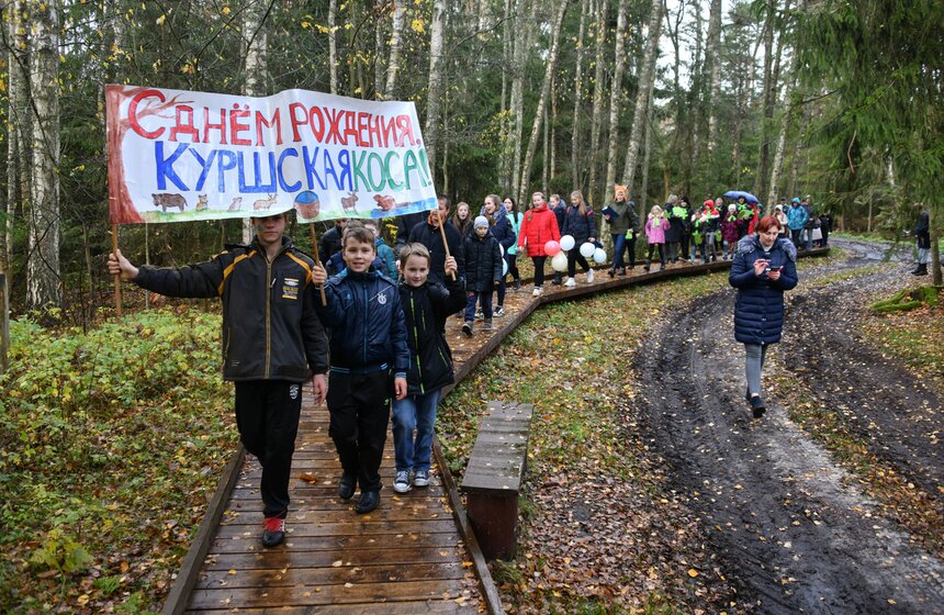 А 6 ноября национальный парк Куршская коса отпраздновал свое 32-летие. В честь дня основания состоялось праздничное шествие по экологической тропе "Королевский бор" до места размещения бывшего лесничества "Гренц". Школьники из Калининграда и разных районов области специально для этого события рисовали поздравительные плакаты, придумывали речевки и поздравления. Молодые активисты также поучаствовали в экологических квестах на знание природы родного края.