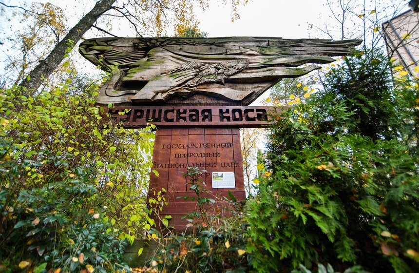 Национальный парк Куршская коса – поистине уникальное место не только в Калининграде, но и во всем мире. Недаром этот уголок природы включили в 2000 году в Список всемирного наследия ЮНЕСКО. Из аэропорта Храброво до парка можно доехать в течение получаса в сторону в Зеленоградского района.