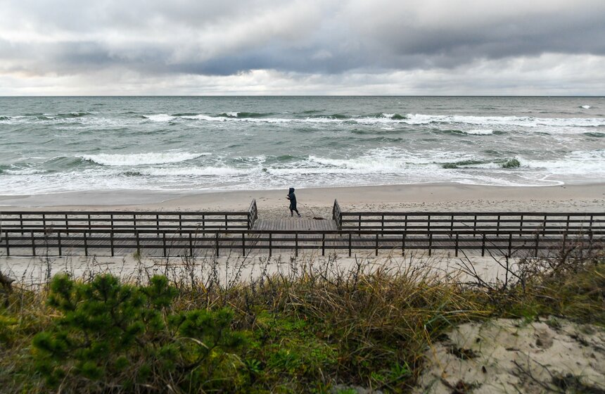 По берегу Балтики любят гулять и собачники со своими питомцами.