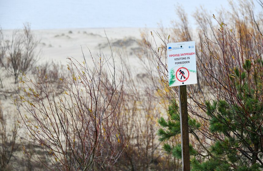 Специалисты покрывали песчаные дюны лесом, и они переставали двигаться и засыпать населенные пункты. В качестве благодарности местные жители поставили в честь лесоводов на вершине дюны памятные камни. Но сейчас по пескам передвигаться строго запрещено, чтобы не нарушить уникальное явление природы.