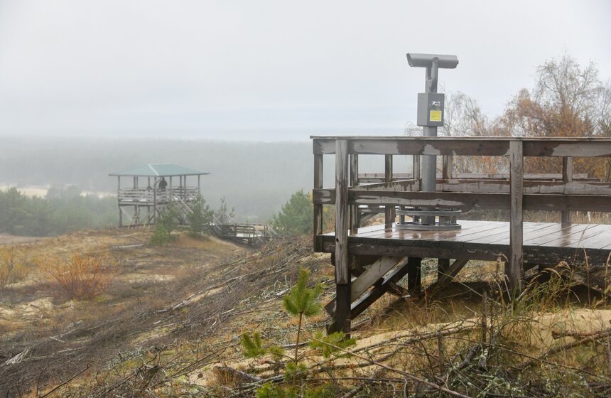 На экологическом маршруте "Высота Эфа" есть две смотровые площадки с превосходным видом на Балтийское море, Куршский залив, лес и поселок Морской.