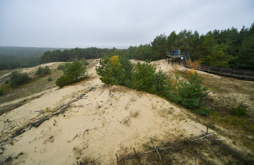 Куршская коса является самой крупной песчаной пересыпью в мире. Дюны, высота которых здесь достигает 55 метров, находятся в постоянном движении. Однако лесной массив, основную часть которого высаживали люди, это движение сдерживает. Ученные считают, что тысячу лет назад вместо косы была цепочка островов с большим числом проливов, которая с течением времени объединилась.
