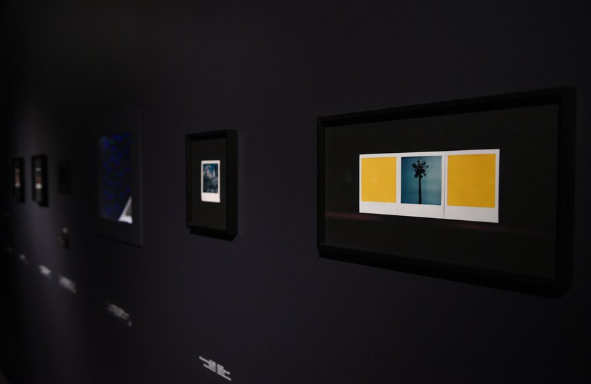 Выставка к 180-летию фотографии открылась в ГМИИ имени Пушкина 18 фото