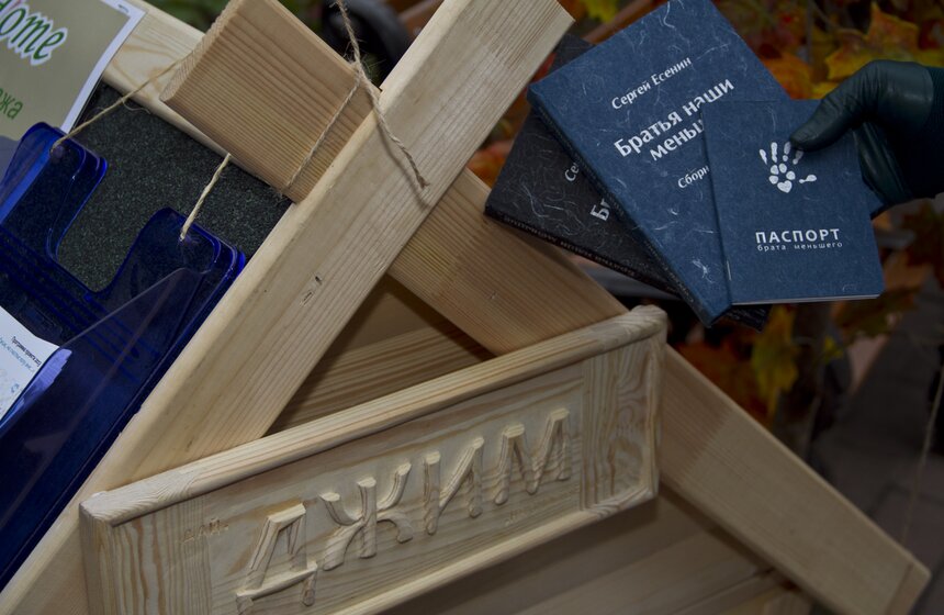 Праздник Дня защиты животных в парке Горького 6 фото