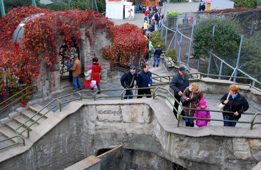 Московский зоопарк отпраздновал "Всемирный день животных"