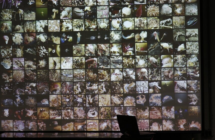 На лекции проекта "Ученые – детям" рассказали о микромире морей 2 фото