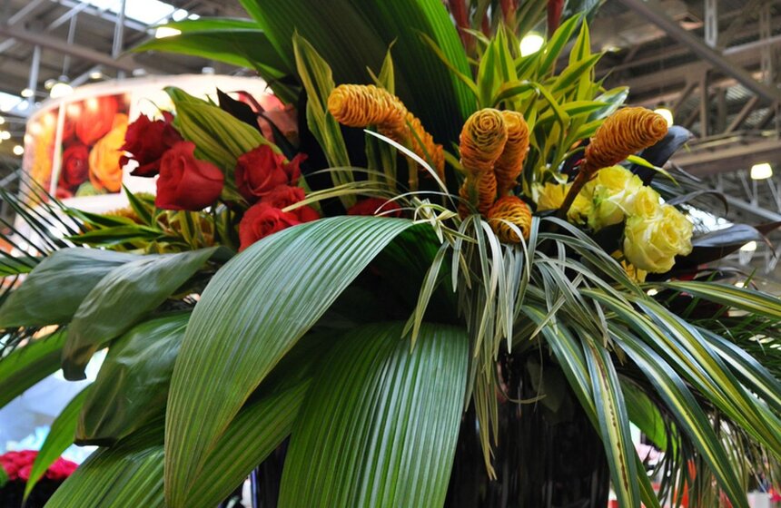В "Крокус Экспо" открылась выставка цветов 17 фото