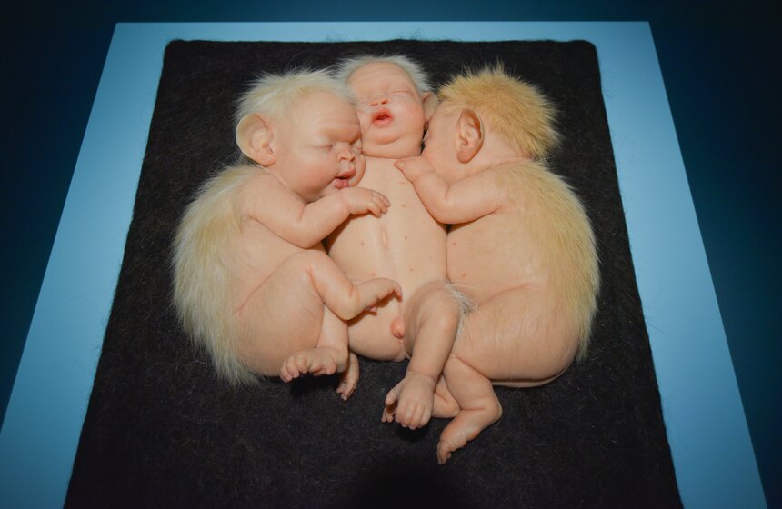 В "Гараже" пройдет выставка о грядущем будущем и экологическом дисбалансе 17 фото