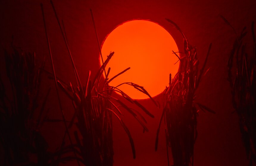 В "Гараже" пройдет выставка о грядущем будущем и экологическом дисбалансе 21 фото