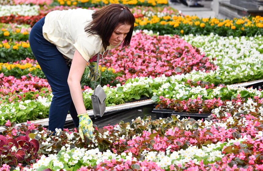 В ГУМе стартовал ежегодный Фестиваль цветов 11 фото