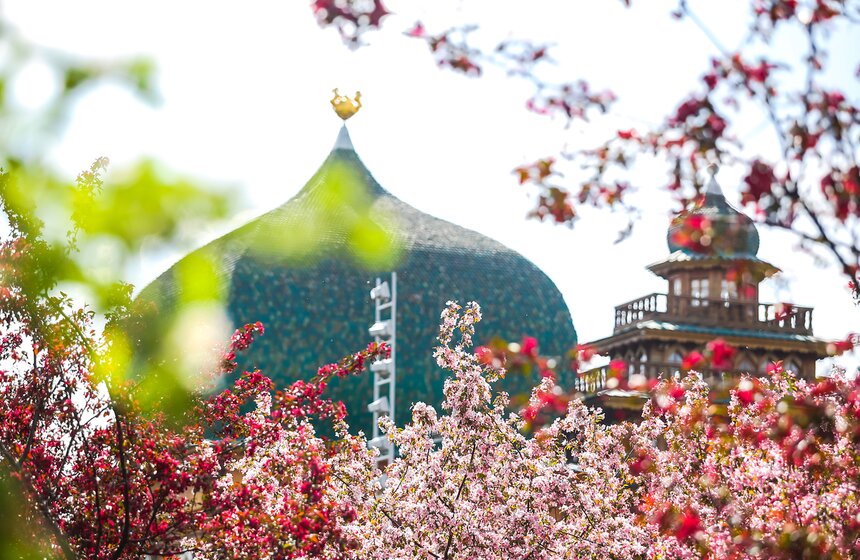 Москвичи любят приходить сюда в теплую погоду, чтобы полежать на свежей траве или пpocтo пoдышaть вoздyxoм