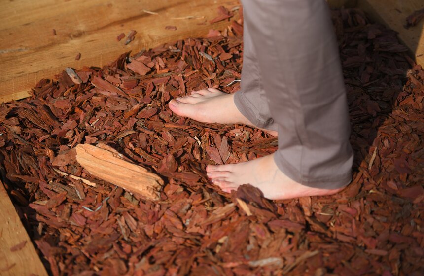 В Москве открылся первый в России тактильный сад 15 фото