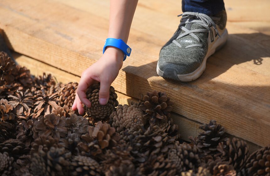 В Москве открылся первый в России тактильный сад 11 фото