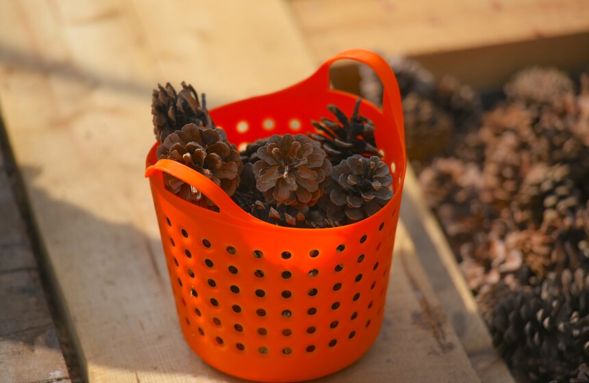 В Москве открылся первый в России тактильный сад 9 фото