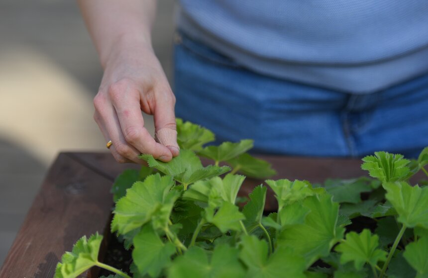 В Москве открылся первый в России тактильный сад 16 фото