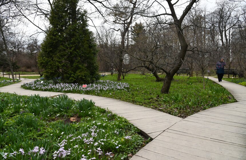 В "Аптекарском огороде" проходит весенний фестиваль цветов 6 фото