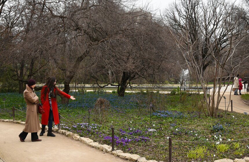 В "Аптекарском огороде" проходит весенний фестиваль цветов 10 фото