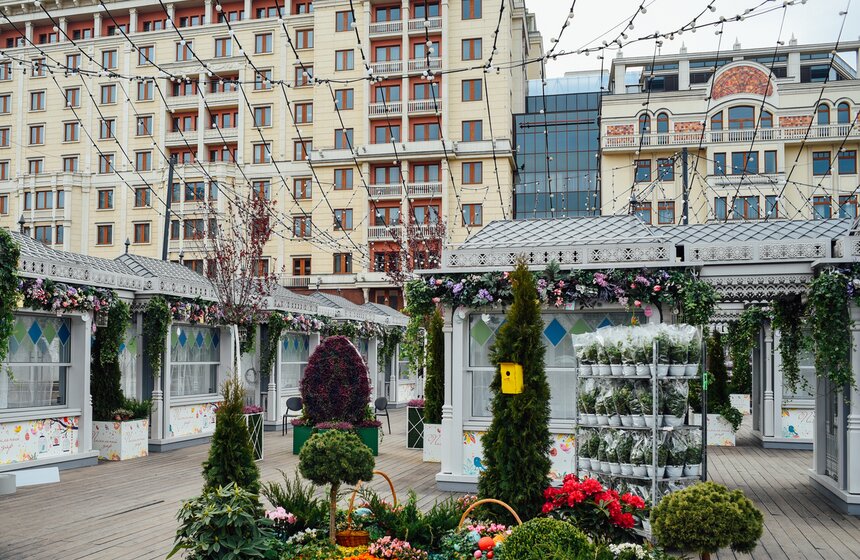 Помимо этого, гостей фестивалей ждет разнообразная программа с различными мастер-классами, концертами и театральными представлениями