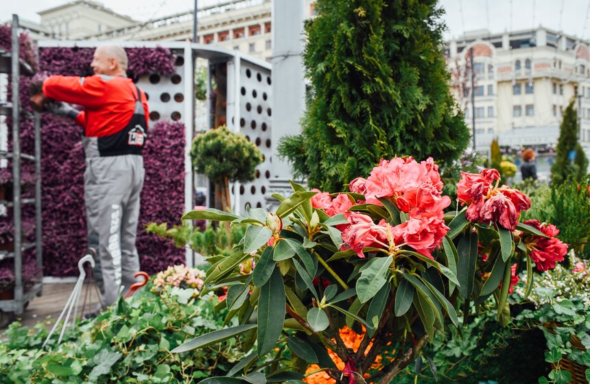 У каждого произведения существует главная точка, притягивающая к себе взгляд