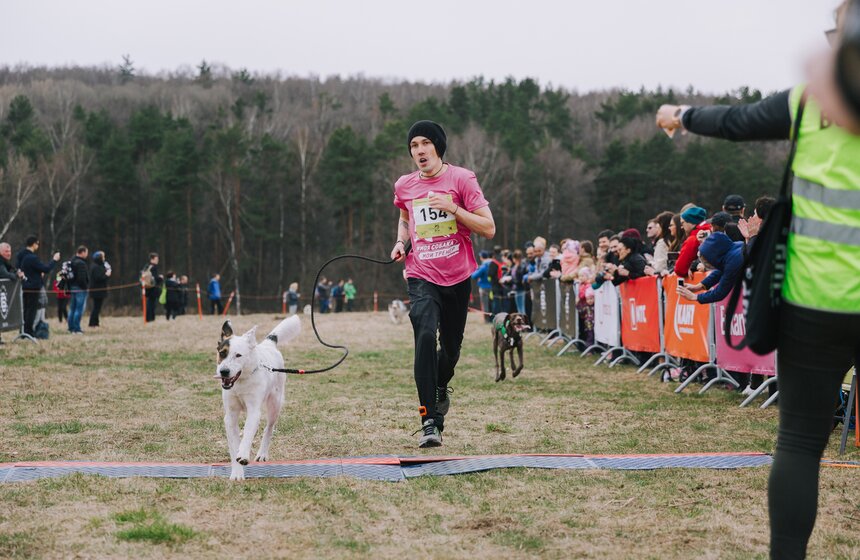 Благотворительный забег с собаками "Быстрый пес" прошел в Битцевском парке 7 фото